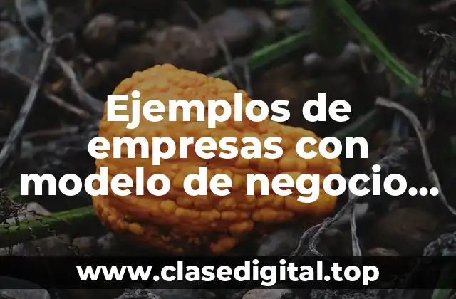 Ejemplos de empresas con modelo de negocio cerrado y Significado