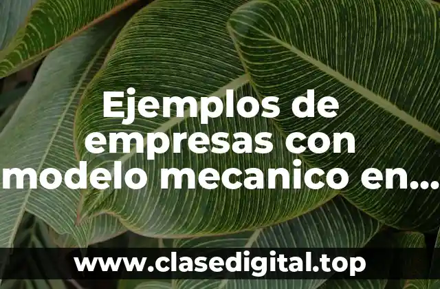 Ejemplos de empresas con modelo mecanico en Perú y Significado
