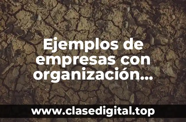 Ejemplos de empresas con organización matricial y Significado