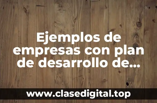 Ejemplos de empresas con plan de desarrollo de negocios