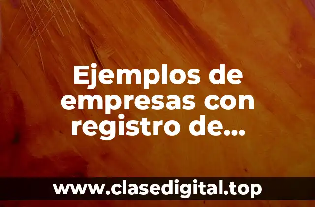 Ejemplos de empresas con registro de mercancia analítico