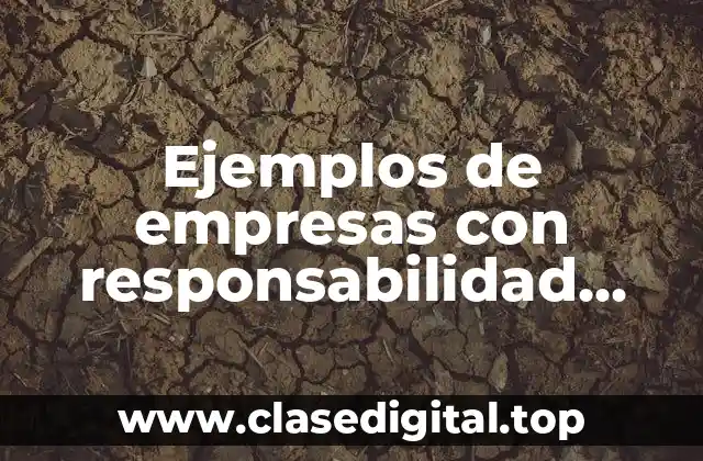 Ejemplos de empresas con responsabilidad social empresarial en Bolivia