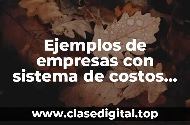 Ejemplos de empresas con sistema de costos ABC