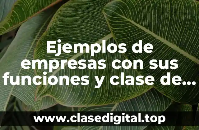 Ejemplos de empresas con sus funciones y clase de capital