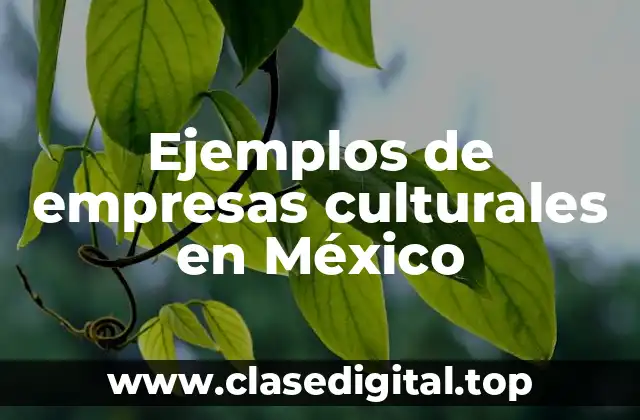 Ejemplos de empresas culturales en México