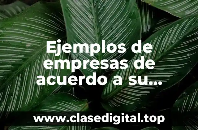 Ejemplos de empresas de acuerdo a su magnitud