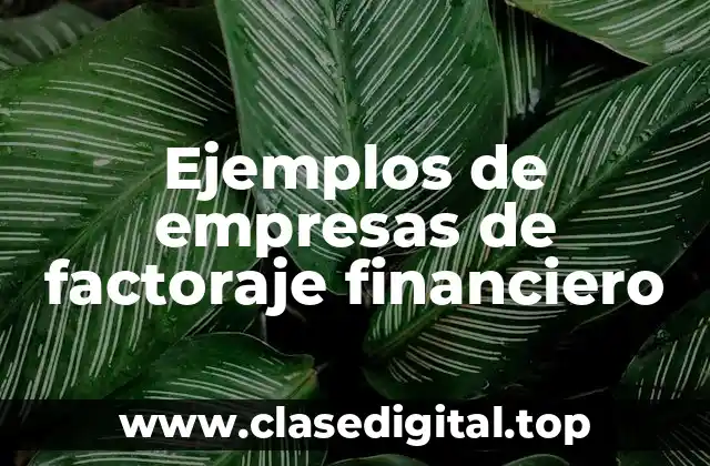 Ejemplos de empresas de factoraje financiero