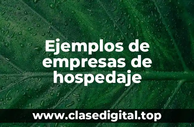 Ejemplos de empresas de hospedaje