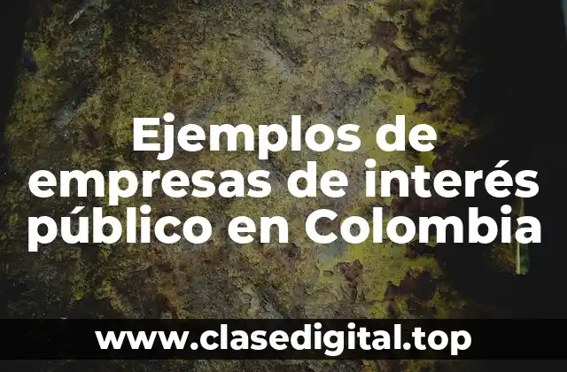 Ejemplos de empresas de interés público en Colombia