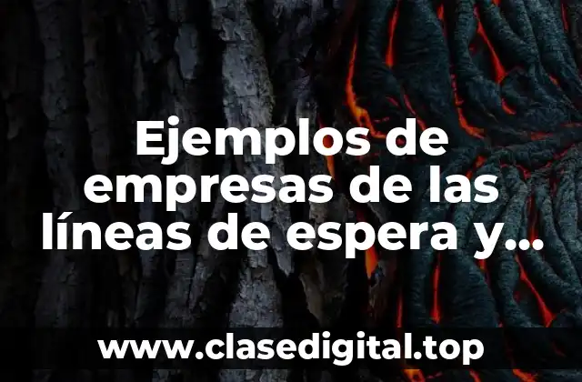 Ejemplos de empresas de las líneas de espera y Significado