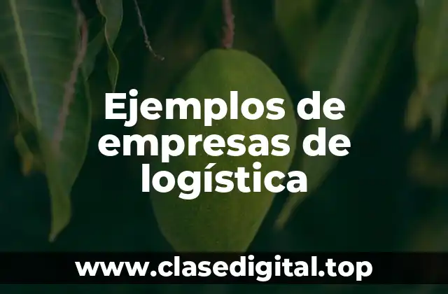 Ejemplos de empresas de logística