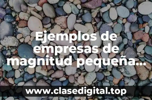 Ejemplos de empresas de magnitud pequeña en México
