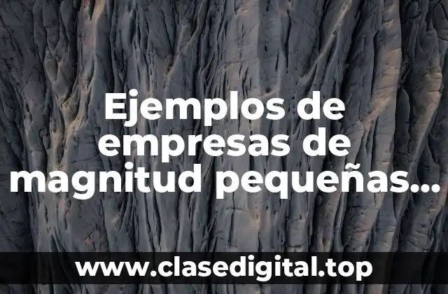 Ejemplos de empresas de magnitud pequeñas en México