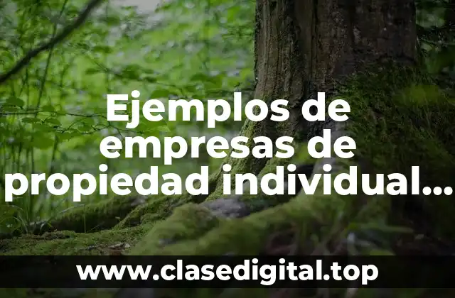 Ejemplos de empresas de propiedad individual y Significado