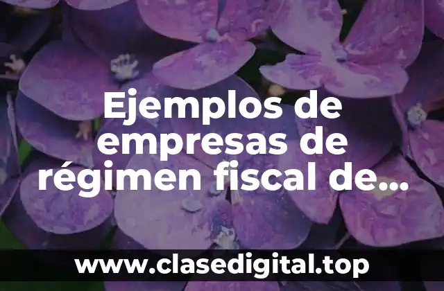 Ejemplos de empresas de régimen fiscal de personas físicas en México