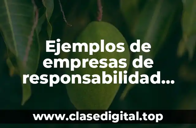 Ejemplos de empresas de responsabilidad limitada en Honduras y Significado