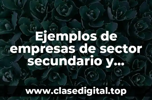 Ejemplos de empresas de sector secundario y Significado