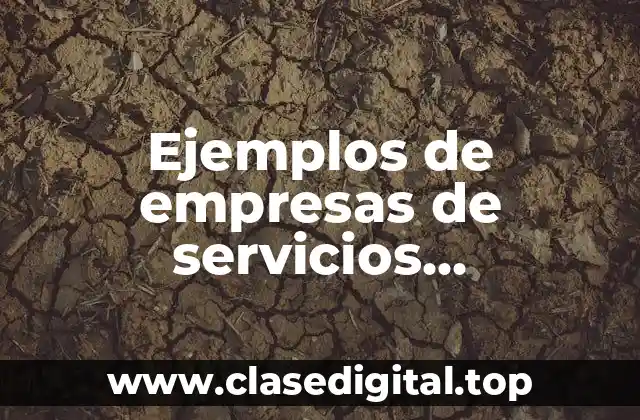 Ejemplos de empresas de servicios comerciales e industriales