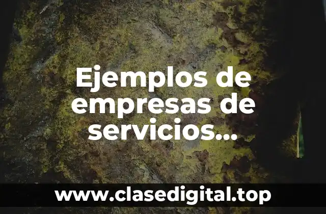 Ejemplos de empresas de servicios profesionales
