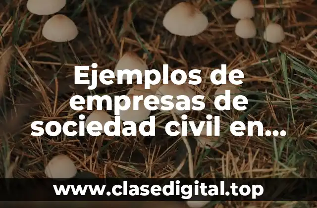 Ejemplos de empresas de sociedad civil en Chiapas