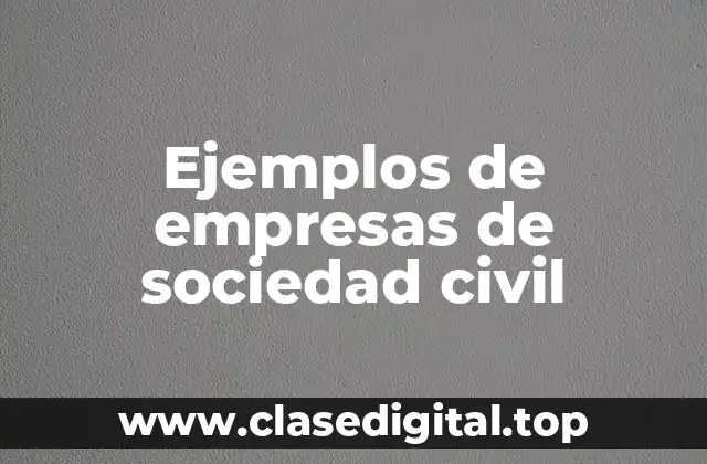 Ejemplos de empresas de sociedad civil