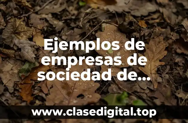 Ejemplos de empresas de sociedad de responsabilidad limitada en Bolivia