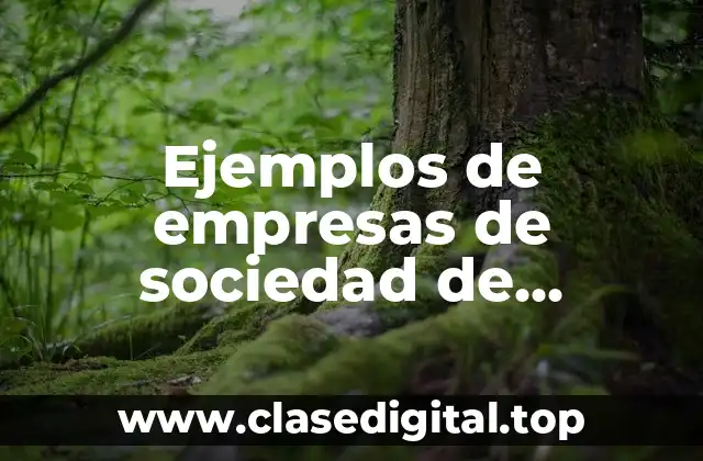 Ejemplos de empresas de sociedad de responsabilidad limitada en México y Significado