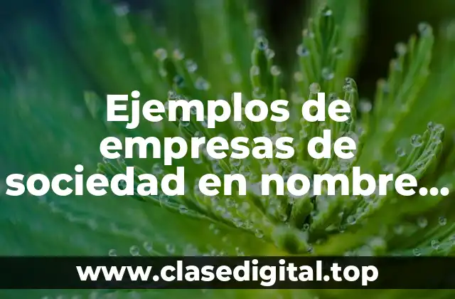 Ejemplos de empresas de sociedad en nombre colectivo