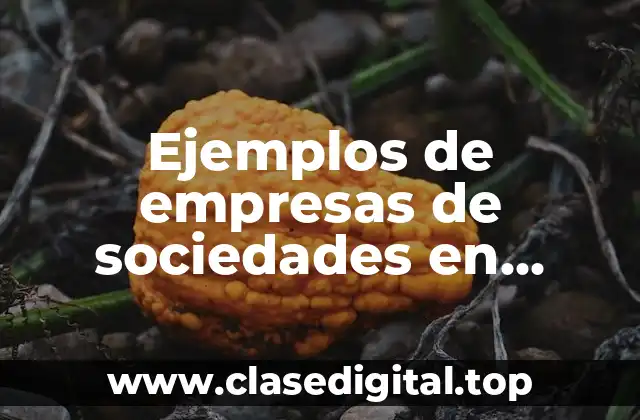 Ejemplos de empresas de sociedades en nombre colectivo