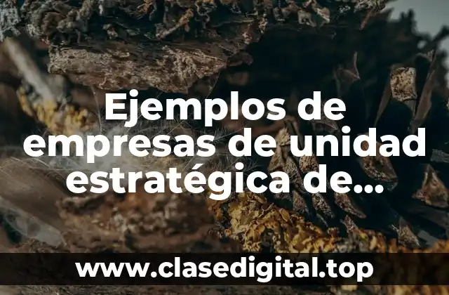Ejemplos de empresas de unidad estratégica de negocios y Significado