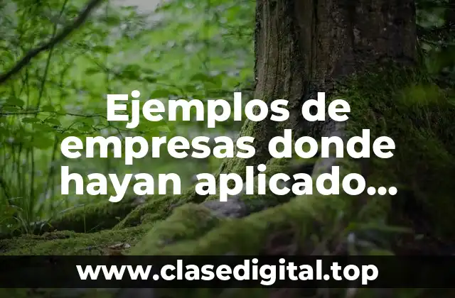 Ejemplos de empresas donde hayan aplicado procesos alternos de