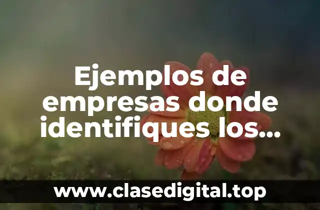 Ejemplos de empresas donde identifiques los factores productivos