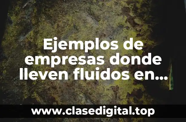 Ejemplos de empresas donde lleven fluidos en procesos industriales