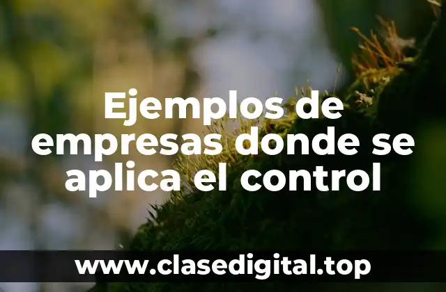 Ejemplos de empresas donde se aplica el control