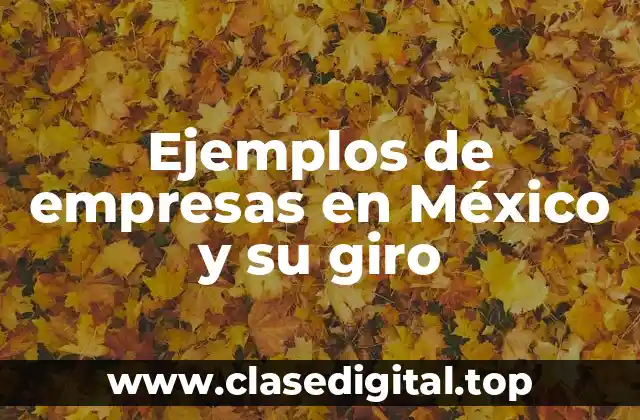 Ejemplos de empresas en México y su giro