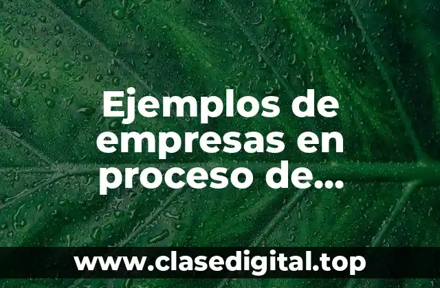Ejemplos de empresas en proceso de internacionalización