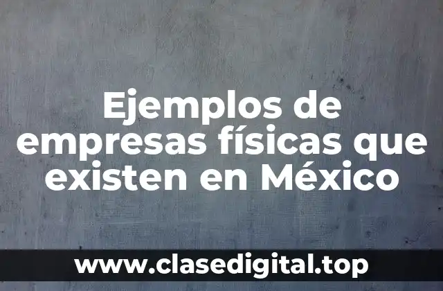 Ejemplos de empresas físicas que existen en México