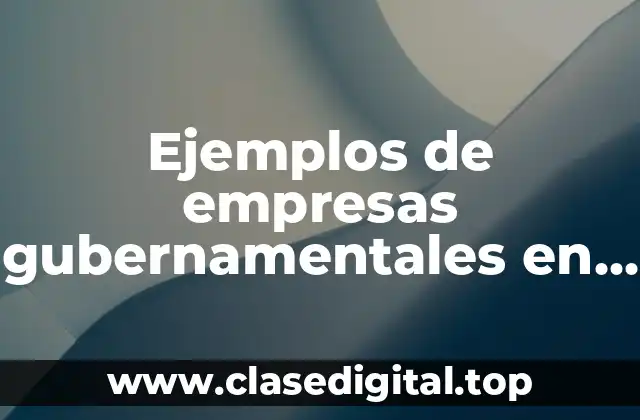Ejemplos de empresas gubernamentales en el ámbito político