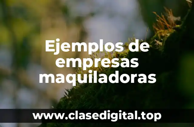 Ejemplos de empresas maquiladoras