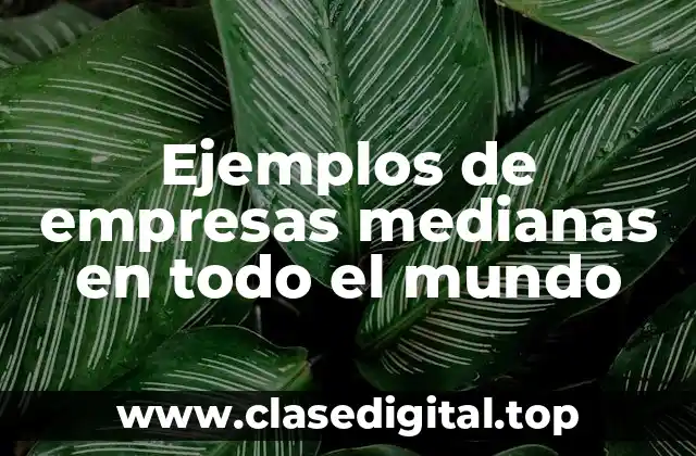 Ejemplos de empresas medianas en todo el mundo