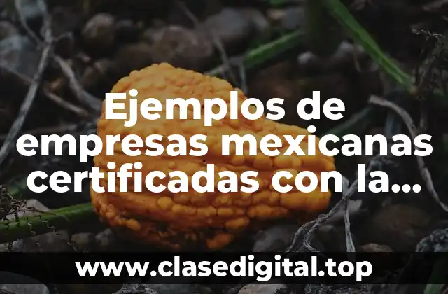 Ejemplos de empresas mexicanas certificadas con la ISO 26000