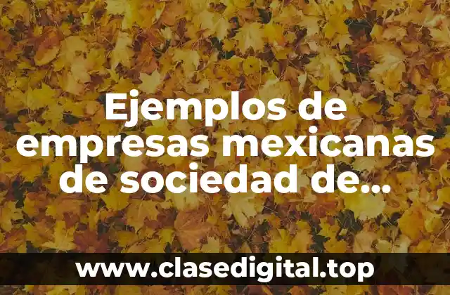 Ejemplos de empresas mexicanas de sociedad de responsabilidad limitada