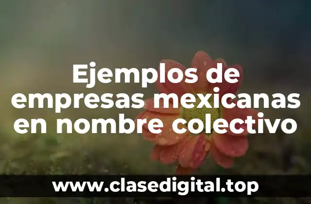 Ejemplos de empresas mexicanas en nombre colectivo