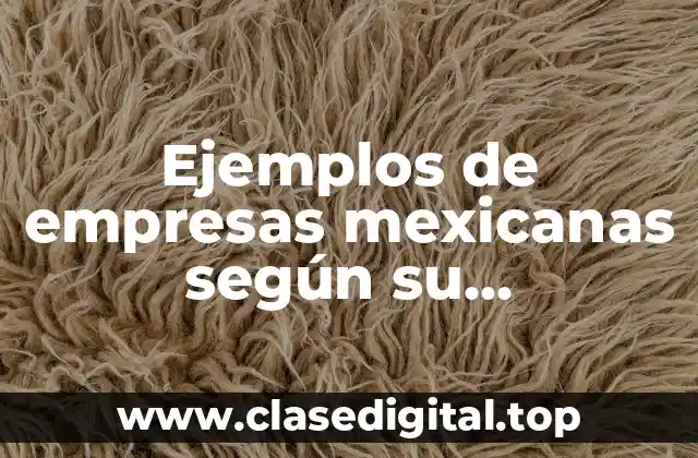 Ejemplos de empresas mexicanas según su Constitución Legal