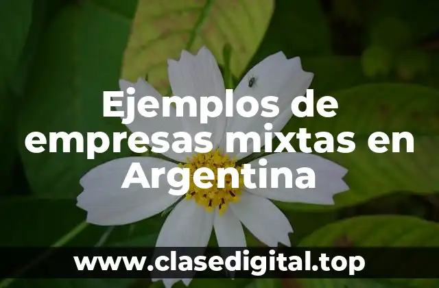 Ejemplos de empresas mixtas en Argentina