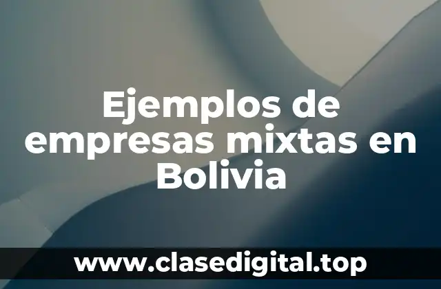 Ejemplos de empresas mixtas en Bolivia