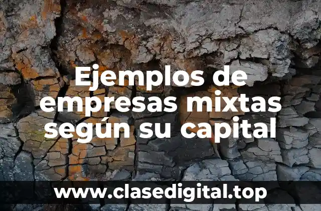Ejemplos de empresas mixtas según su capital