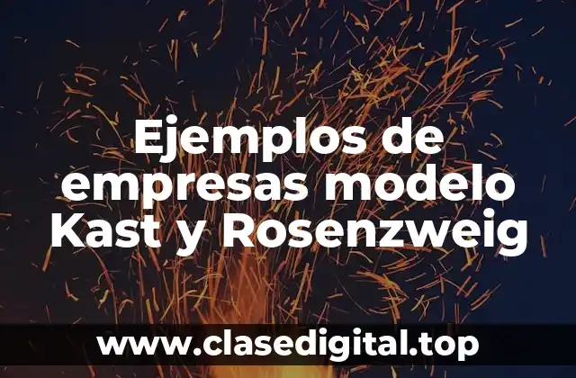 Ejemplos de empresas modelo Kast y Rosenzweig