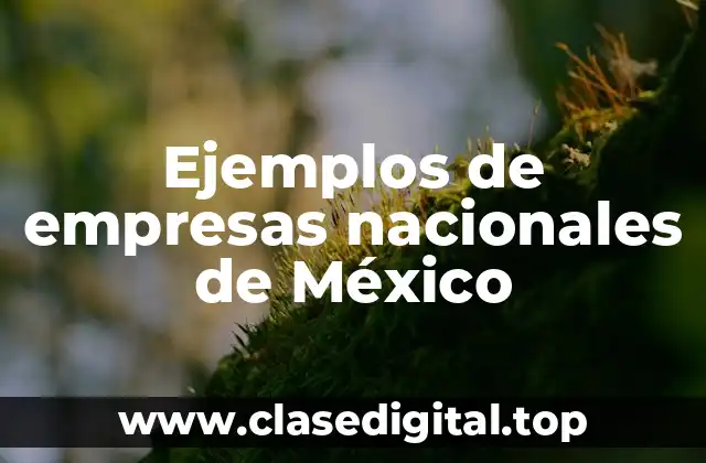 Ejemplos de empresas nacionales de México