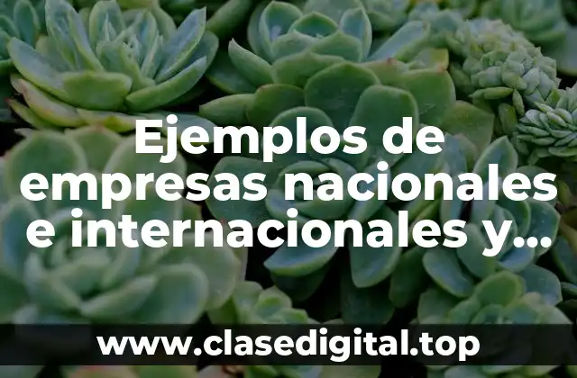 Ejemplos de empresas nacionales e internacionales y Significado